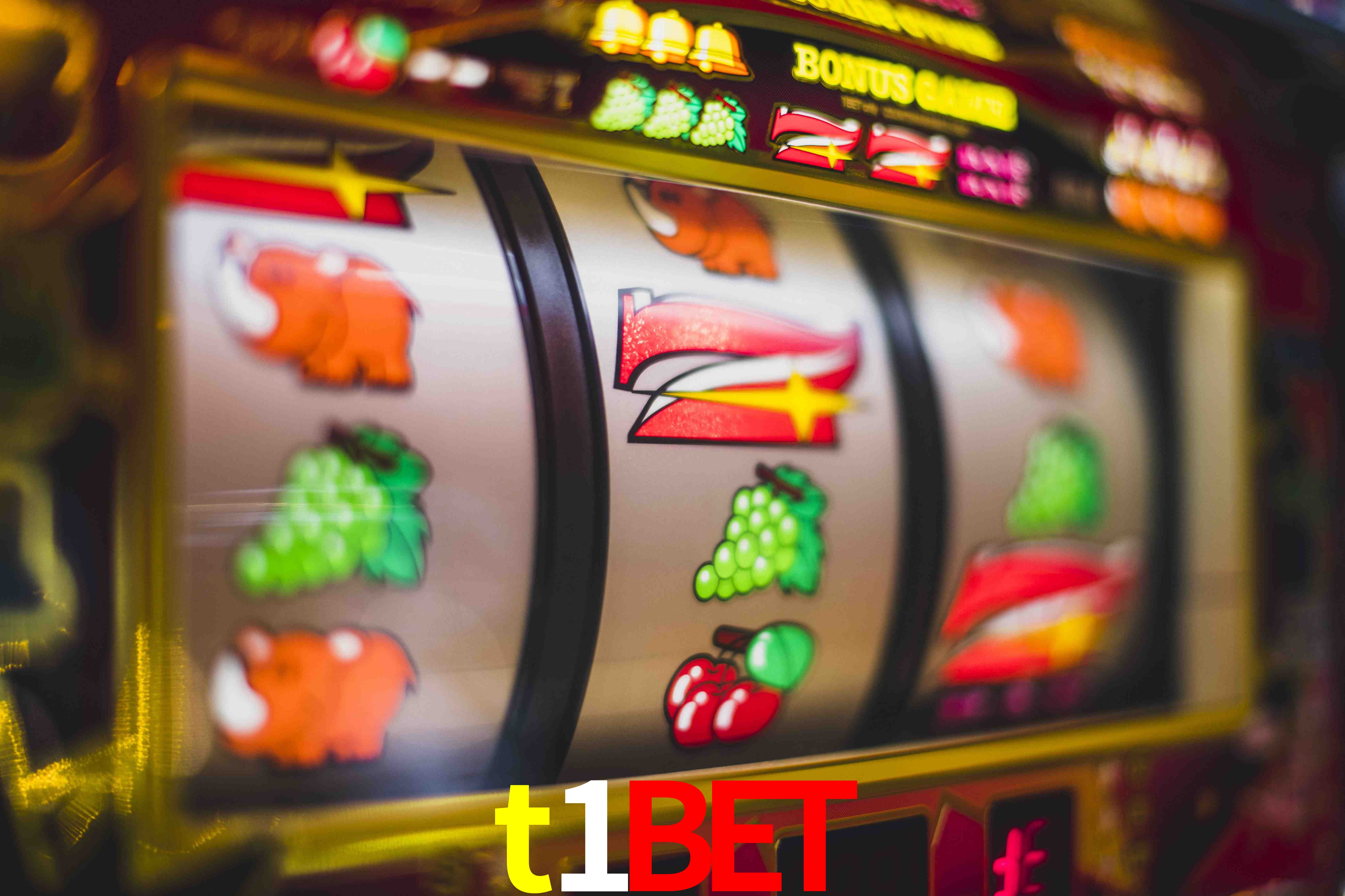 VIP Casino t1bet